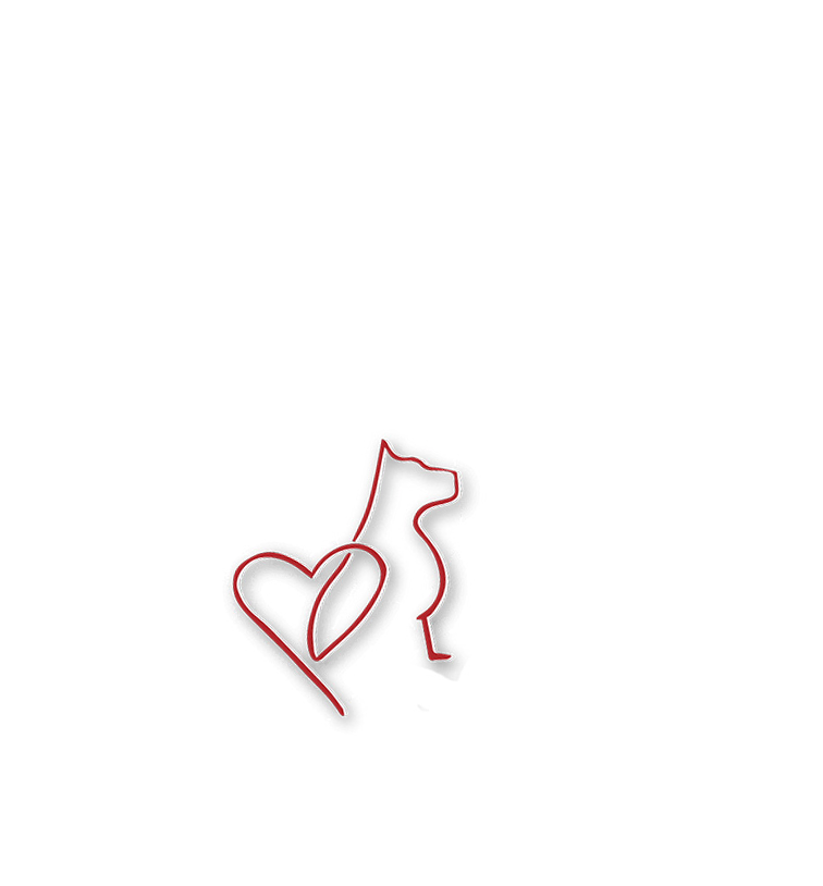 favicon-elo-dogs favicon-elo-dogs